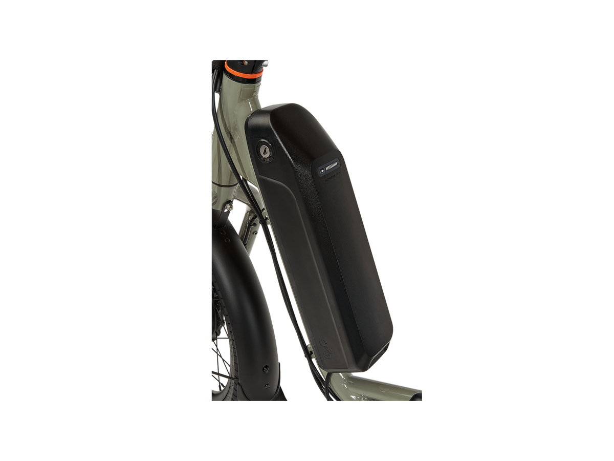 RadTrike™ Electric Tricycle
