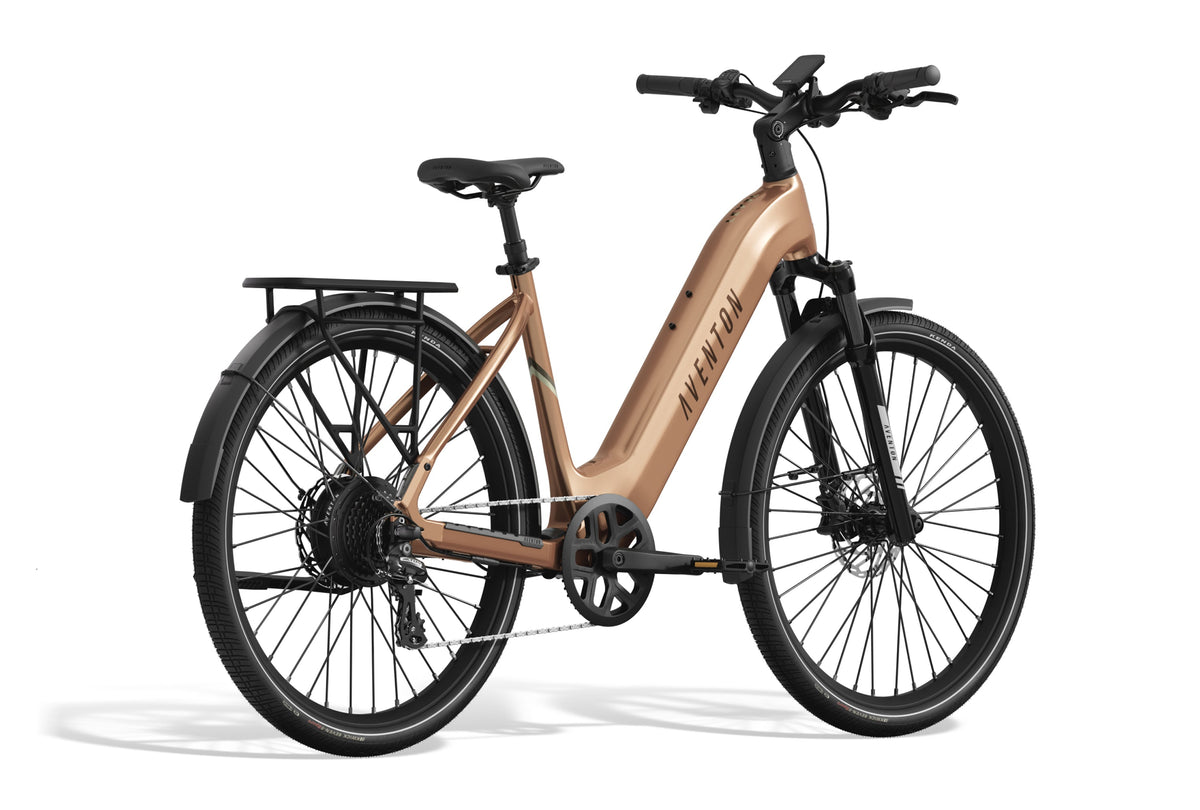 Level 3 Step-Through Ebike