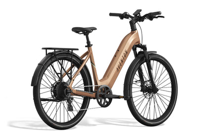 Level 3 Step-Through Ebike