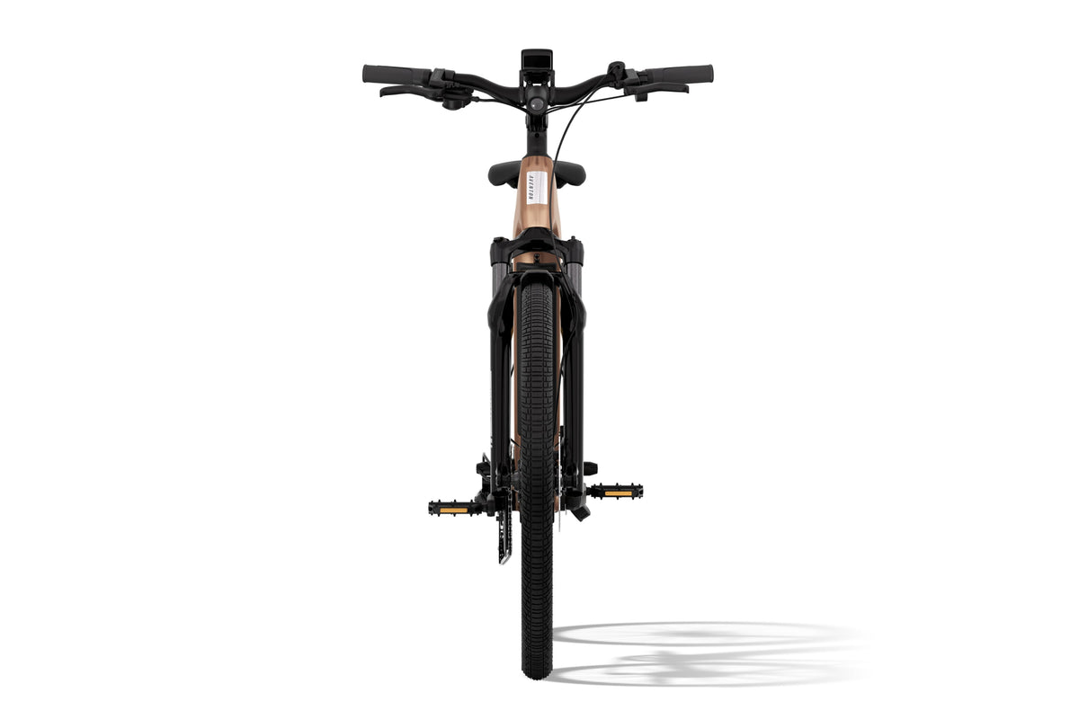 Level 3 Step-Through Ebike