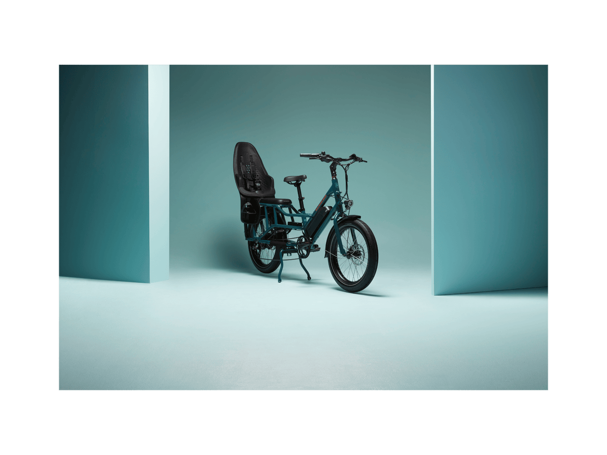 RadWagon™ Electric Cargo Bike