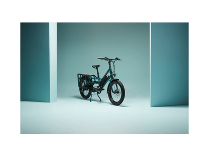 RadWagon™ Electric Cargo Bike