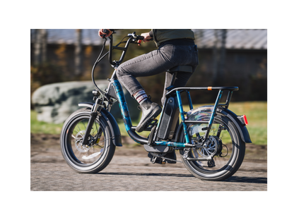 RadRunner™ Plus Electric Cargo Utility Bike