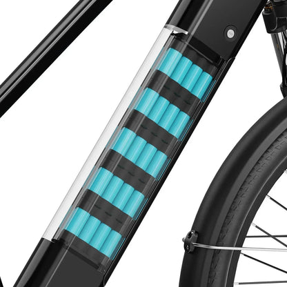 Aipas® C2 Xpress Ebike