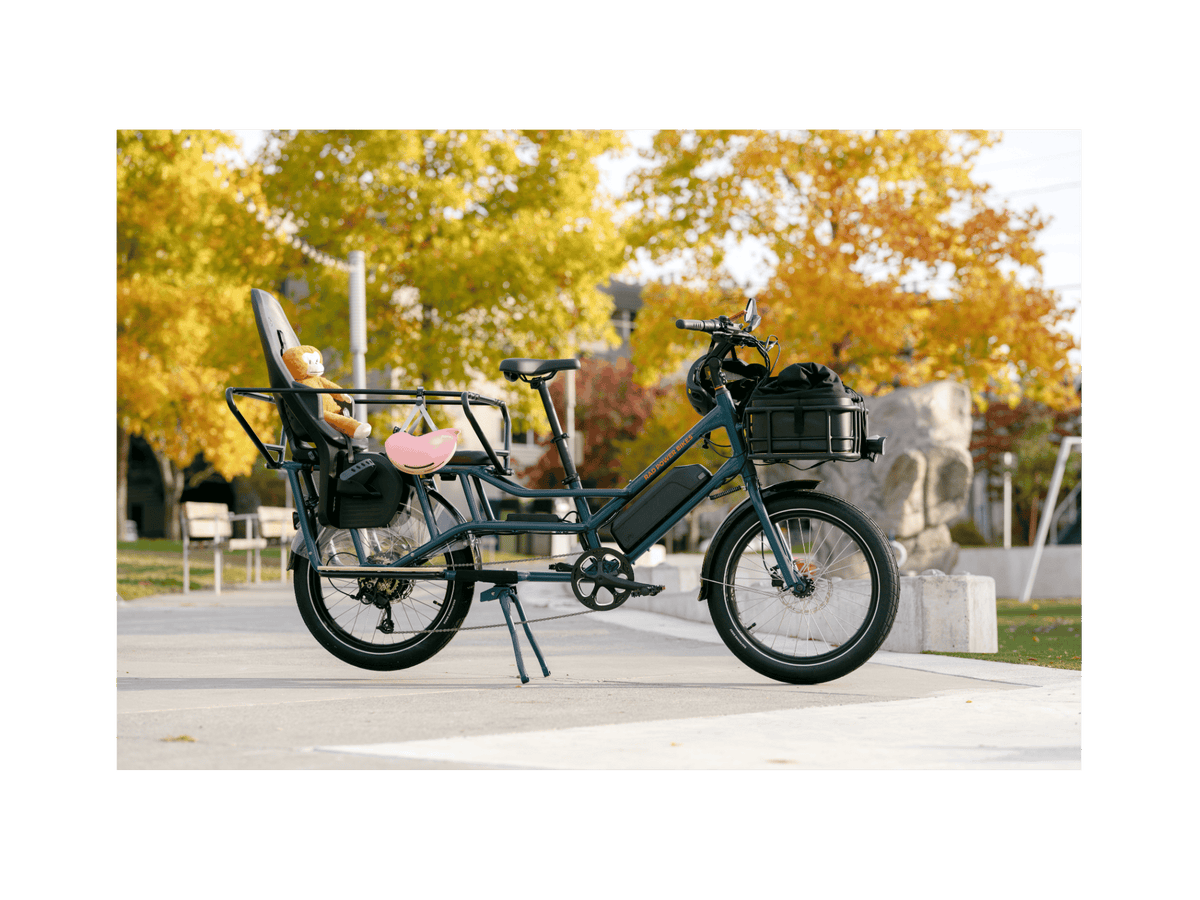 RadWagon™ Electric Cargo Bike
