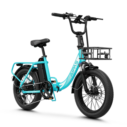 Aipas® A4 Gentry Ebike
