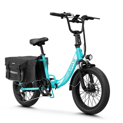 Aipas® A4 Gentry Ebike