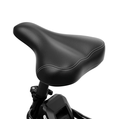 Aipas® A4 Gentry Ebike
