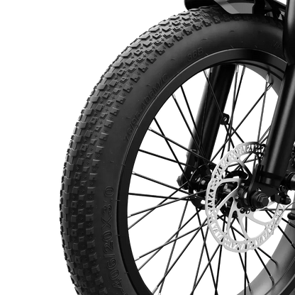 Aipas® A4 Gentry Ebike