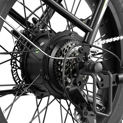Aipas® A4 Gentry Ebike