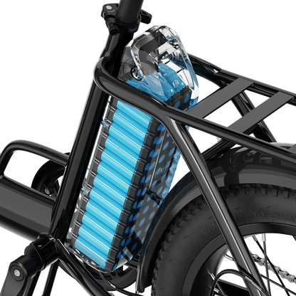 Aipas® A4 Gentry Ebike