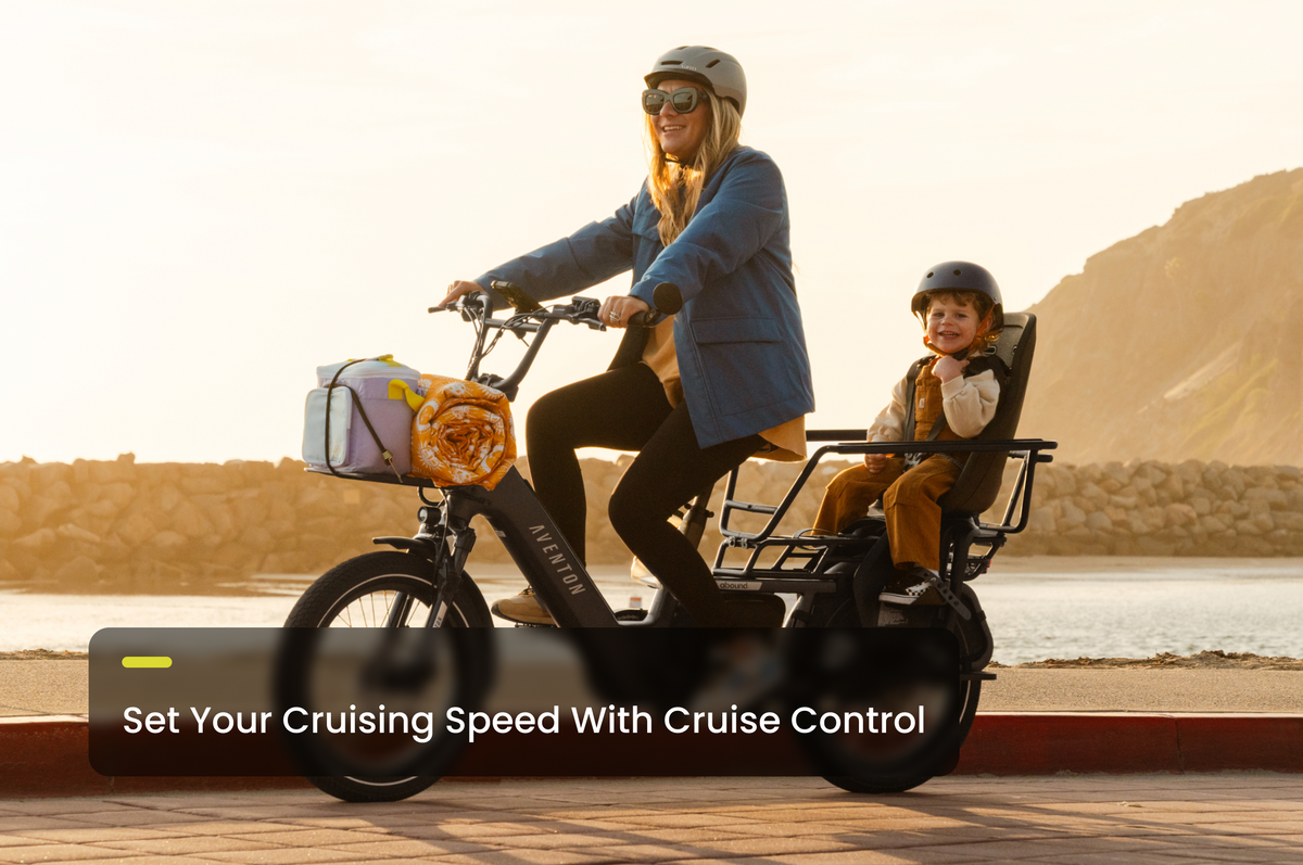 Abound LR Ebike