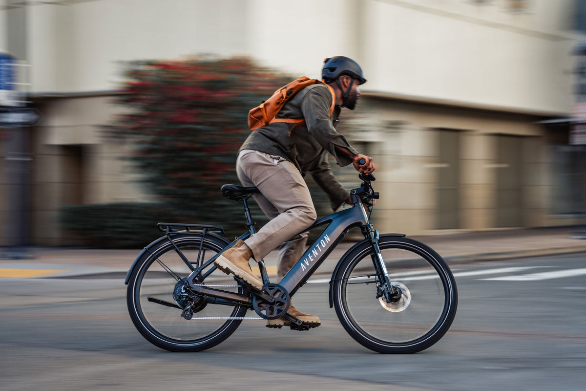 Level 3 Step-Through Ebike