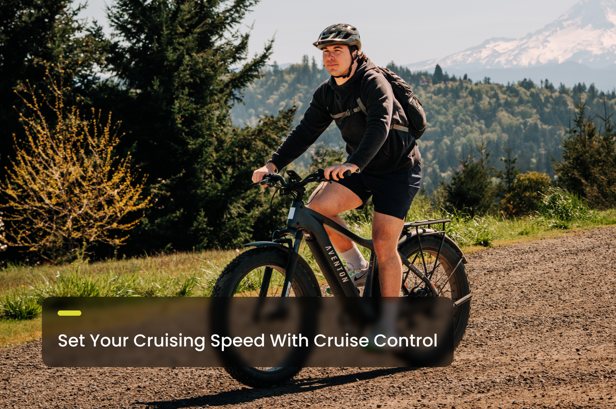 Aventure 3 Step-Through Ebike