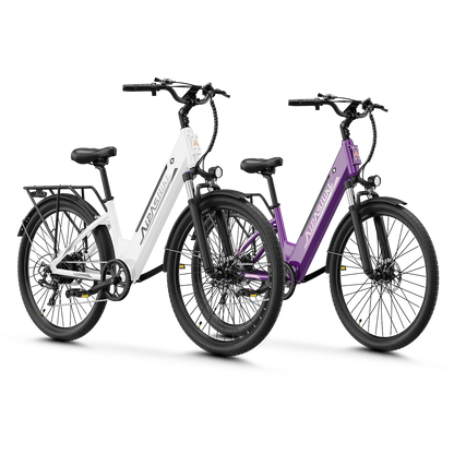 Aipas® Ebike Combo Sale C1*2