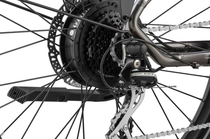 Level 2 Ebike