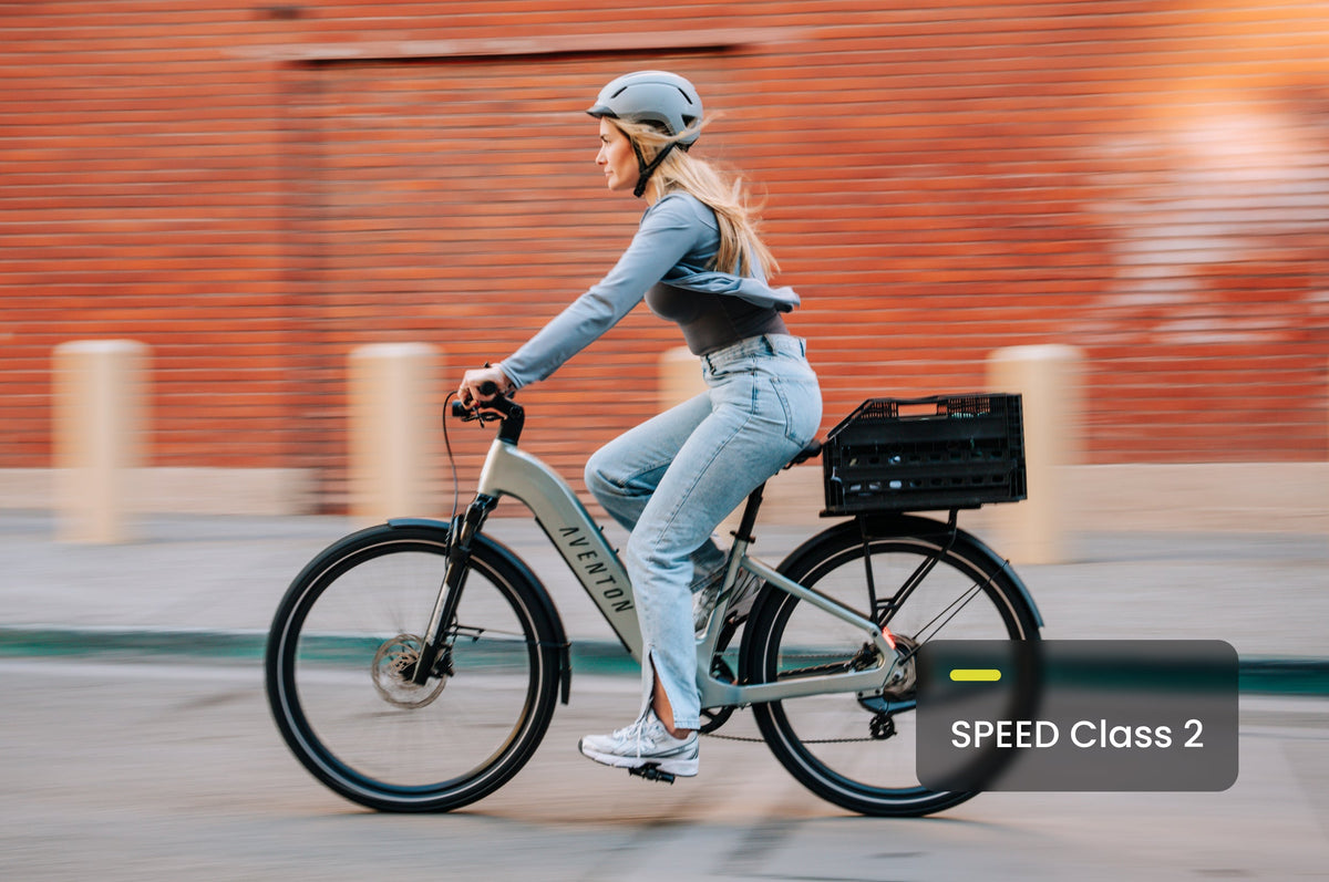 Level 3 Ebike