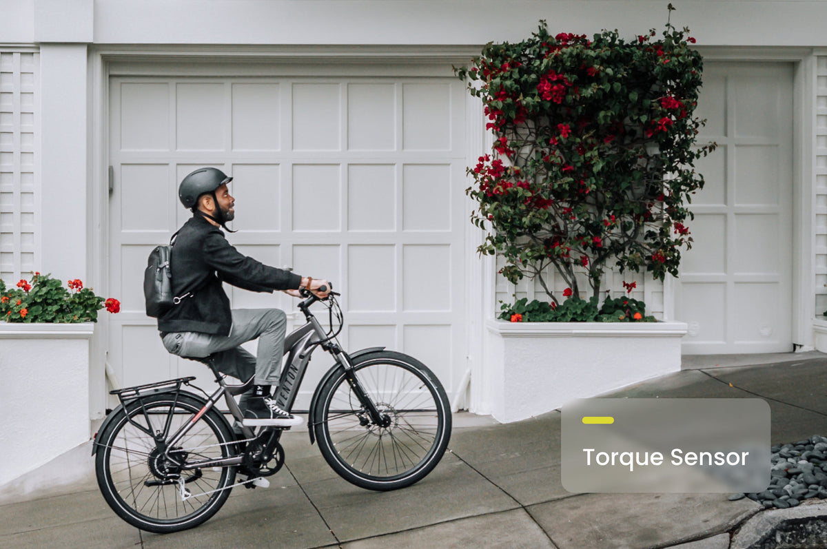 Level 2 Ebike