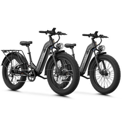 Aipas® Ebike Combo Sale M1 Max*2