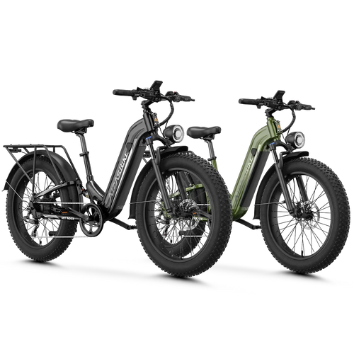 Aipas® Ebike Combo Sale M1 Max*2