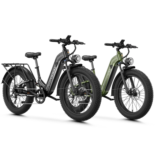 Aipas® Ebike Combo Sale M1 Max*2