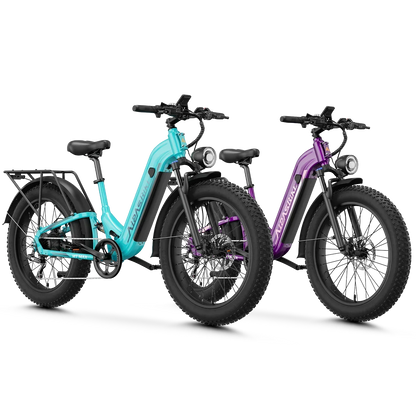 Aipas® Ebike Combo Sale M1 Max*2
