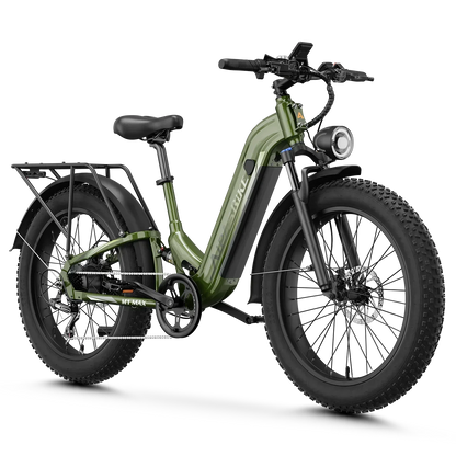 Aipas® M1 Max Hydraulic Brakes Ebike