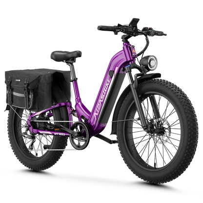 Aipas® Ebike Combo Sale M1 Max*2