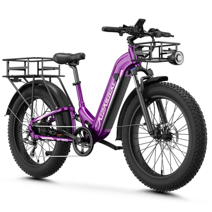 Aipas® Ebike Combo Sale M1 Max*2