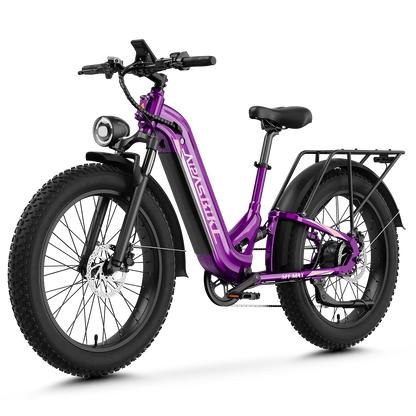 Aipas® M1 Max Hydraulic Brakes Ebike