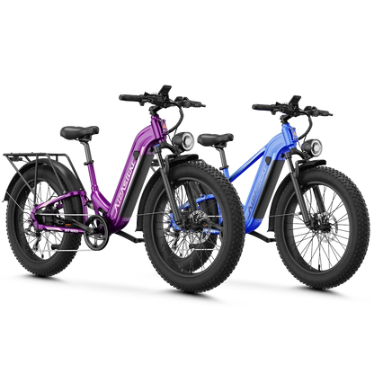 Aipas® Ebike Combo Sale M1 Max+M2 Max
