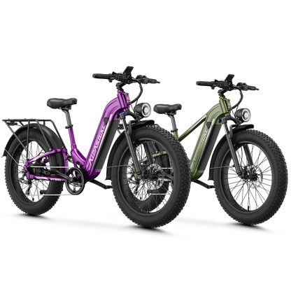 Aipas® Ebike Combo Sale M1 Max+M2 Max
