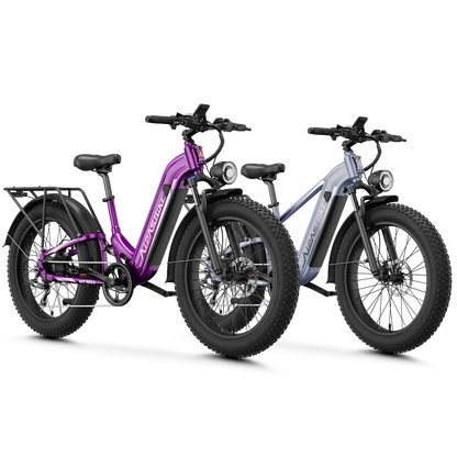 Aipas® Ebike Combo Sale M1 Max+M2 Max