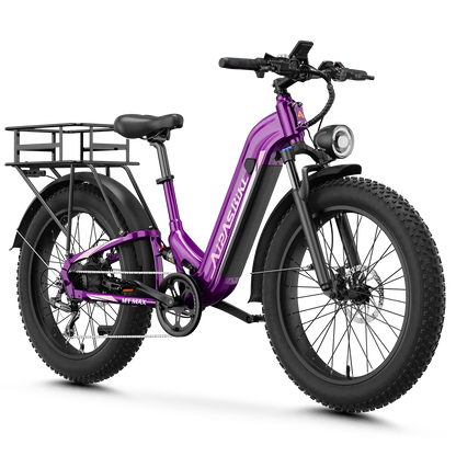 Aipas® Ebike Combo Sale M1 Max*2