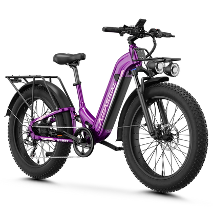 Aipas® M1 Max Hydraulic Brakes Ebike