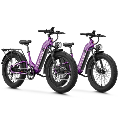 Aipas® Ebike Combo Sale M1 Max*2