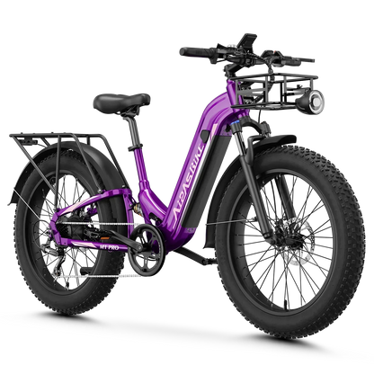 Aipas® Ebike Combo Sale M1 Pro*2