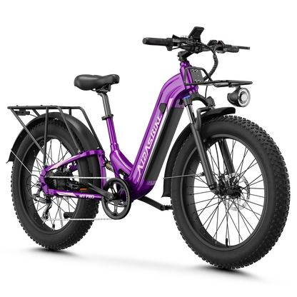 Aipas® Ebike Combo Sale M1 Pro*2
