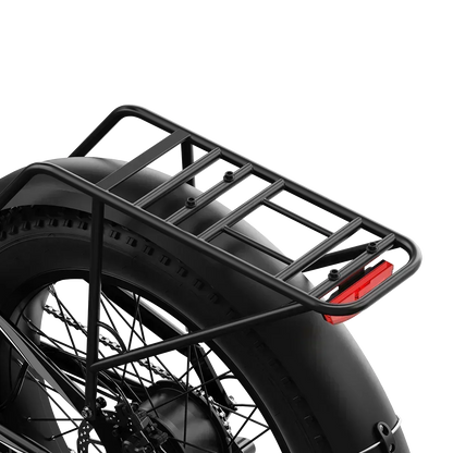 Aipas® Ebike Combo Sale M2 Max*2