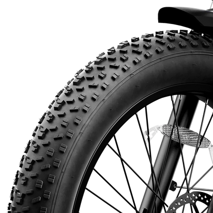 Aipas® Ebike Combo Sale M1 Pro+M2 Pro