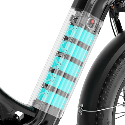 Aipas® Ebike Combo Sale M1 Pro*2