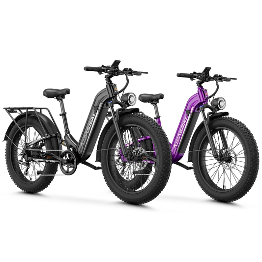 Aipas® Ebike Combo Sale M1 Pro*2