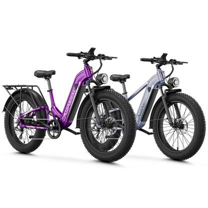 Aipas® Ebike Combo Sale M1 Pro+M2 Pro