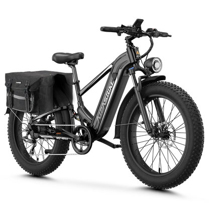 Aipas® Ebike Combo Sale M2 Max*2