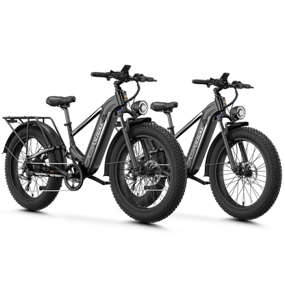 Aipas® Ebike Combo Sale M2 Max*2