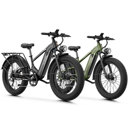 Aipas® Ebike Combo Sale M2 Max*2