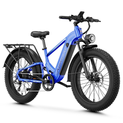 Aipas® M2 Max Hydraulic Brakes Ebike
