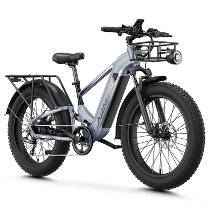 Aipas® Ebike Combo Sale M2 Max*2