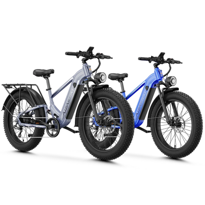 Aipas® Ebike Combo Sale M2 Max*2