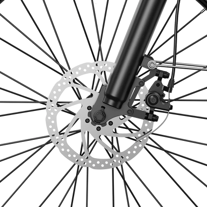 Aipas® M2 Pro Xterrain Ebike